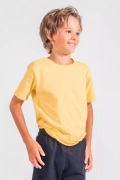 Повседневная футболка для мальчика RFSM004 Vulpes Familiy(фото2)